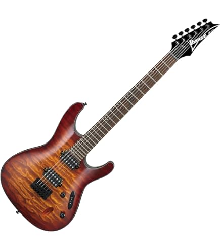 Ibanez Maple Wood, Mahogany Wood Electric Guitar RGA Series