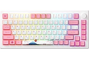 Akko MOD 007B Tokyo Mechanical Gaming Keyboard, 75% Gasket LED ANSI Layout Multi Modes Keyboard Anti-Ghosting, Hot-Swappable Programmable Media Keys, OEM Dye-Sub PBT Keycaps
