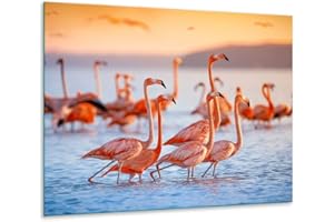 QTA Placa protectora de vitrocerámica 60 x 52 cm 1 pieza cocina eléctrica universal para inducción protección contra salpicaduras tabla de cortar de vidrio templado como decoración de flamencos