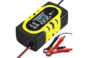 Anluomania Cargador de Batería 12V 10A, Cargador Baterias Coche Inteligente Completamente Automático, con Pantalla LCD y Múltiples Protecciones, Función de Reparación Automática
