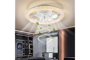 Viugreum Led Smart Ceiling Fans with Light 48CM, Modern Ceiling Fan Lights with Remote Control, Reversible Fan/3 Color Temperature/6 Speed, Dimmable LED Fan Light with Timer for Living Room Bedroom