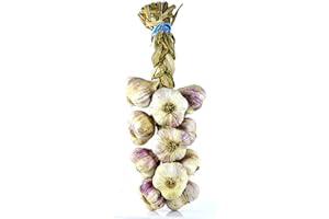 Jemangefrancais Tresse d'Ail Violet, 1 kg