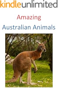 kindle best category lists