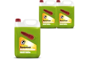 ‎GAMIX Scheibenwischwasser mit Apple Duft | Gebrauchsfertig Scheibenklar Sommer | ScheibenReiniger für Scheibenwaschanlagen mit Trichter | Magic Green, 10 L