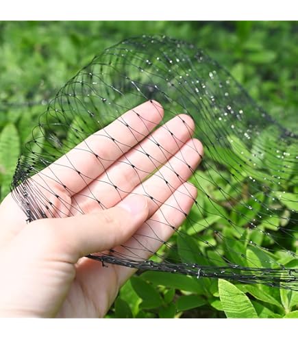 GEROBUG Vijvernet Fijnmazig 8 X M Weer En Uv Bestendig Tegen Reigers Vogelbeschermingsnet Bladnet Vijver Kippennet Fijnmazig Vogelnet Bladbeschermingsnet 1587613333