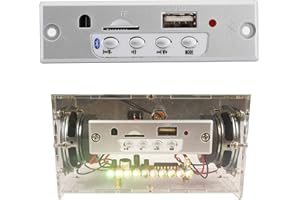 Yunseity Kit Cassa Altoparlante Bluetooth Fai da Te, Costruisci il Tuo Kit Amplificatore Fai-da-te, Piccolo Amplificatore Elettronico con Controllo Vocale, per Bambini, Adolescenti e