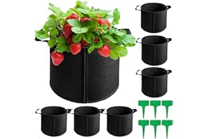 Cinsersr Macetas de tela, Jardineras, 6 unidades, 12 l, macetas de tela, 3 galones, bolsas de 12 l para balcón, jardín e invernadero (6 etiquetas para plantas)