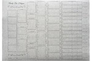 MAXBAL 6 Generation Pedigree Chart - A3 (4 Pack) - Parchment Paper