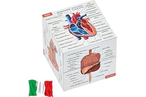 KITS OF MEDICINE Cube d'étude anatomie humaine en italien | Étude 9 parties du corps humain | Modèle d'anatomie cube | Excellent cadeau pour les infirmières et les étudiants en médecine