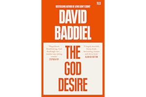 The God Desire: A witty and profound Sunday Times bestselling philosophical essay