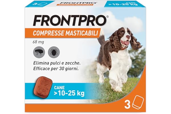 FRONTPRO