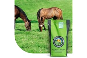 MRS SEEDS & MIXTURES Horse Elite Mix: Mélange Prairie Universelle | 1 kg pour 100 m² | Idéal pour les chevaux et le petit bétail | Convient aux pâtures et aux grands espaces | Facile à entretenir | Couverture rapide