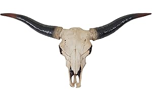‎MENDLER Mendler Deko Schädel 75cm HWC-A14, Polyresin Stier Bulle Longhorn Kopf Trophäe, In-/Outdoor Natur