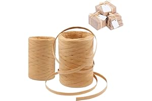 N-AA 2 Pièce Raphia à Crocheter, Ruban de Raphia,Corde de Papier Raphia, Artisanat Demballage Raphia, pour Lemballage de Bouquets, Léco-emballage, Le Tissage et la Décoration de Jardin, 200 M, milieu