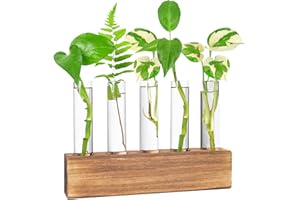 Hwtcjx Jarrón Hidropónica, Estación De Propagación para Plantas, Terrario con Soporte Madera, Florero Cristal, Jarrones Vidrio Macetas para Interior Decoración Mesa Oficina Casa Jardín (5 Botellas)