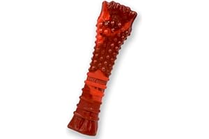 Nylabone NBJ105P Kości Do Żucia, XL