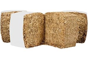 MILLSTORE Lettiera per cavalli in paglia | Assorbe il 200% del suo peso | Lettiera per polli | Lettiera per conigli | Fondo per box cavalli - Sacco da 13 kg / 4 mq superfice (1 confezione da 13 kg)