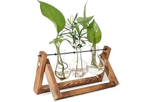 HOMURY Supporto Idroponico in Legno Con Vaso Sospeso: Vasi da Tavola, Vaso per Fiori Idroponico in Vetro, Retrò (3 Vasi)