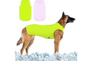 Kickred Pack of 2 Dog Cooling Shirts, Ice Cream Pet Vest, Dog Clothing for Instant Cooling, Ultralight Breathable Sleeveless T-Shirts for Medium Dogs, Boys and Girls (Purple + Green, M)