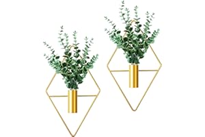 Cindeer 2 Macetas Colgantes de Forma de Rombo Jardinera Decoración de Pared Geométrica Moderna con Planta Acuática Artificial Soporte Metal de Pared para Planta Interior (Eucalipto, Oro)