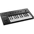 Native Instruments Komplete Kontrol A25 Controller Keyboard