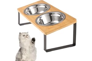 Radsocken Elevated Cat Food Bowls, 15° Tilted Raised Stainless Steel Cat Feeding Dishes with Wooden Stand Anti Vomiting for Indoor Cats Whisker Fatigue, Protect Pet's Spine, Non-Slip