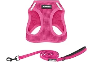 Voyager Step-in Air Cat Harness - All Weather Mesh Step in Vest Harness for Small and Medium Cats by Best Pet Supplies - Set (Fuchsia), XXS