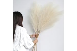 YIYA Decorazione Pampas Secca Grande 6 Pcs 113cm Biancastro Pampas Erba Simulata Pampas Erba Pampa Artificiali Fiori per Soggiorno, Casa, Pavimento, Vaso, Decorazione Boemia