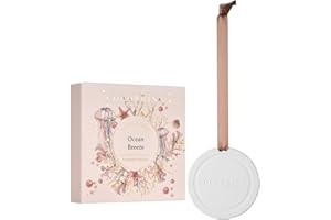 COCORRÍNA Cerámica perfumada, bolsa perfumada Ocean Breeze para cajones y armarios, regalos de cerámica perfumada hecha a mano para hombres y mujeres, fragancia de coche