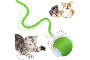 DAMIGHT Interaktives Katzenspielzeug, Katzenball Spielzeug Elektrisch, 360° Rolling Intelligentes Katzenspielzeug Wiederaufladbar über USB, Bewegliches Spielball für Katzen und Hunde Innenbereich