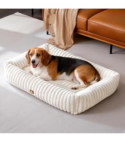 Knuffelwuff orthopdisches Hundebett aus Cord mit Handwebcharakter Nunavut  M-L 85 x 63cm Beige - Abnehmbarer Bezug - waschbar - fr groe, mittelgroe  und kleine Hunde : Amazon.de: Haustier