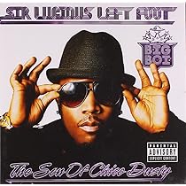 Vicious Lies & Dangerous Rumors: Big Boi, Big Boi: Amazon.it: CD e