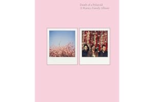 Death of a Polaroid - A Manics Family Album