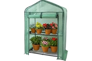 PRADICHI 2 Tier Mini Greenhouse for Indoor & Outdoor Use | Heavy Duty Garden Grow House with Shelves | Ideal for Growing Vegetables, Flowers, Herbs & Seedlings