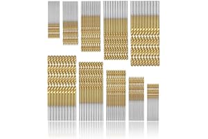 HPIANO punte per trapano Micro 100 pezzi Set di punte da trapano Punte Metrico HSS ad alta velocit in acciaio Punte in acciaio al titanio da 1/1,5/2 / 2,5 / 3mm Drill Set Strumenti