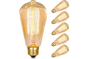 Neviland E27 Vintage Light Bulbs Large Edison Screw Bulb - Squirrel Cage Shaped Filament - 2700K Warm White Dimmable - Pack of 6 (60, Watts)