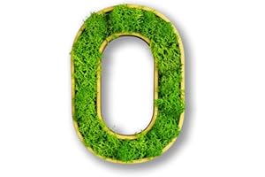 Acryltypo Moosly® Holzbuchstabe – O - mit Rahmen aus Holz, Moos Deko Buchstaben Zeichen Symbol Zahl - Holzbuchstabe mit echtem Islandmoos - Wandbilder Wohnzimmer Deko Wand Bilder Wohnzimmer Bilder