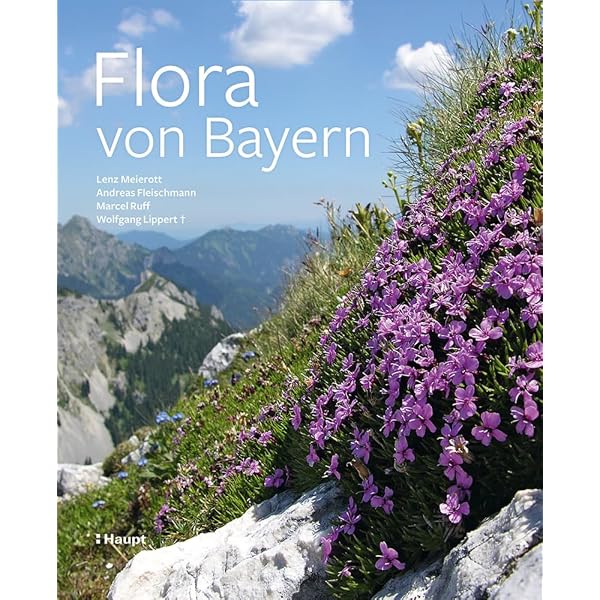Bildatlas der Farn- und Bltenpflanzen Deutschlands: Alle 4200 Pflanzen in  Text und Bild : Haeupler, Henning, Muer, Thomas: Amazon.de: Bcher