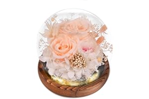 Beinhome Rosa Stabilizzata Vera Rose Eterne Fiori Fatto a Mano in Vetro con Luci LED Regali per Lei Donna Mamma Nonna Fidanzata, per San Valentino Festa della Mamma Compleanno Ringraziamento Natale