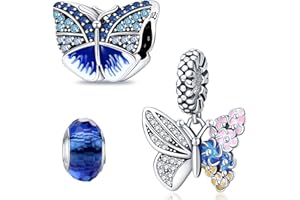 HappyStar Charme Argent Sterling 925 Femmes Perles Charm,Compatible PourPandora & Européen les bracelets et les colliers Charms de combinaison, cadeau pour les sœurs et les amoureux