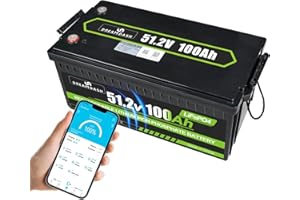 DREAMDASH 51.2V (48V) Batterie 100Ah LiFePO4 Akku Wiederaufladbare mit Bluetooth BMS, 4500+ Zyklen bei 80% DOD, funktioniert von -10 ℃ bis 55 ℃
