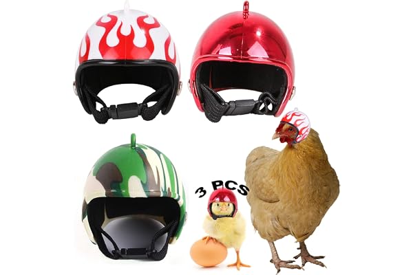 Casque De Poulet 3 Pièces Casque pour Animaux De Compagnie Casque De Poulet en Plastique Casque De Sécurité pour Animaux Compagnie pour Protection De Tête Poulets Canards Oiseaux 3 Couleurs 4 x 4,5cm