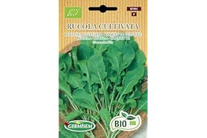 Germisem Orgánica Rucola Cultivata Semillas de Rúcula 6 g