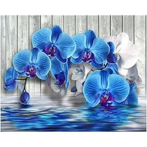 DCIDBEI Peinture Diamant Grande Adultes Fleurs Bleu Or 40x50cm Peinture