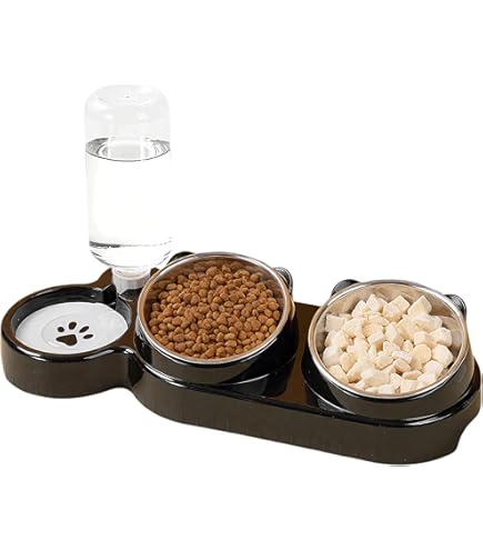 thumbnail image 2 of Archul Cat Bowls With At, Cat Food And Water Bowl Set With Water Dispenser, 15° Tilted Cat 2 of 10