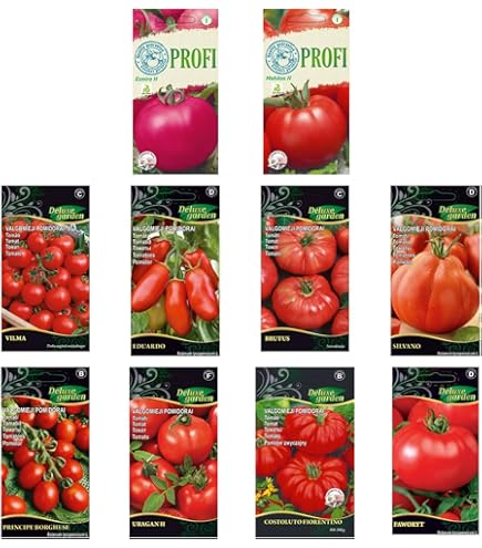 SEMI DI POMODORO RIO GRANDE FRANCHI SEMENTI - Foto 4