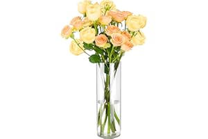Koelaa Vaso in Acrilico Trasparente Infrangibile - Vaso Cilindrico Moderno per Fiori, Decorativo per Soggiorno, Matrimonio, Cena, Tavolo, Feste, Ufficio, Casa e Camera da Letto - 10×40 cm