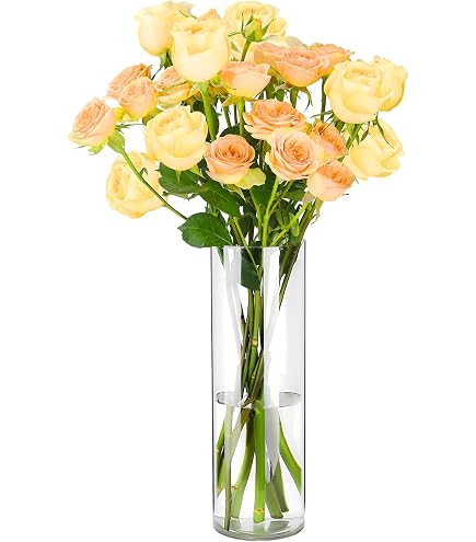 Matches21 Vaso Cilindrico In Vetro Chiaro 12x15 Cm - Per Fiori, Candele O Decorazioni