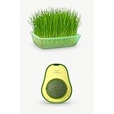 Natural Mesh Cat Grass Set and Avocado Catnip Mint Toy Cat Herb 2 in 1