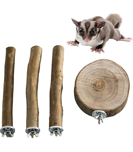 Sugar Glider 12 Inch Silent Hamster Wheel Hamster Wheels Exotic